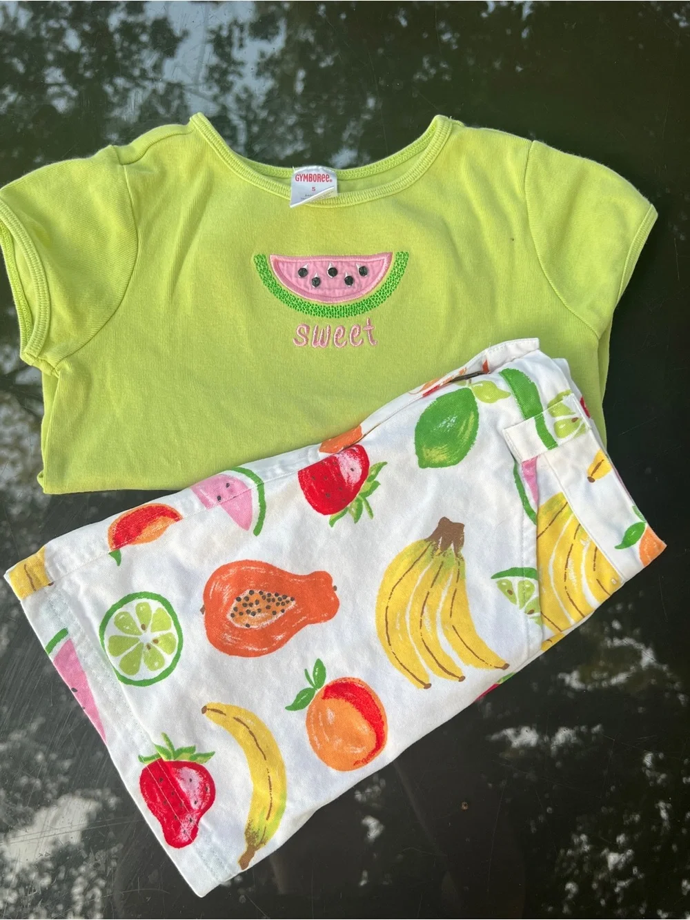 Vintage Gymboree 2006 Tutti Fruity Watermelon Shirt & Fruit Skirt Set Size 5